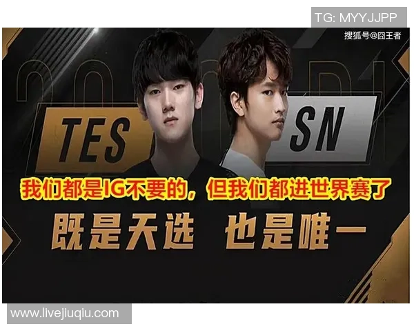 TES战队防反策略分析与成败得失的深度探讨